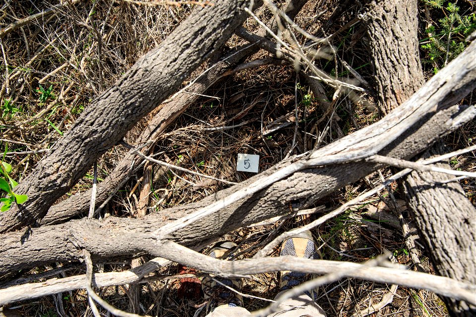 Ground photo 5