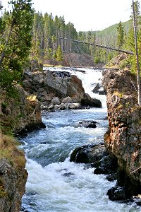 Cascades in Yellowstone National Park photo