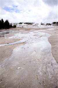 Around the Norris Geyser Basin