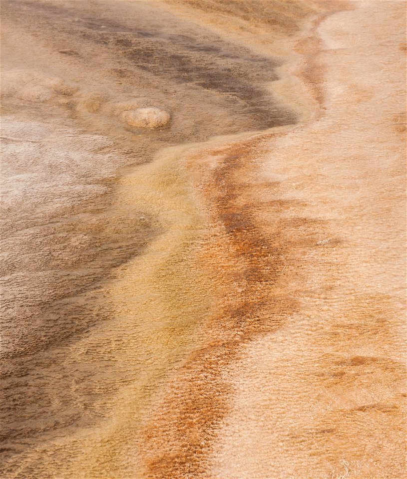 Yellowstone Texture
