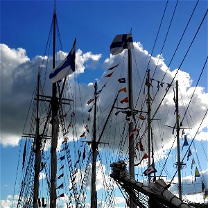 Tall Ships photo