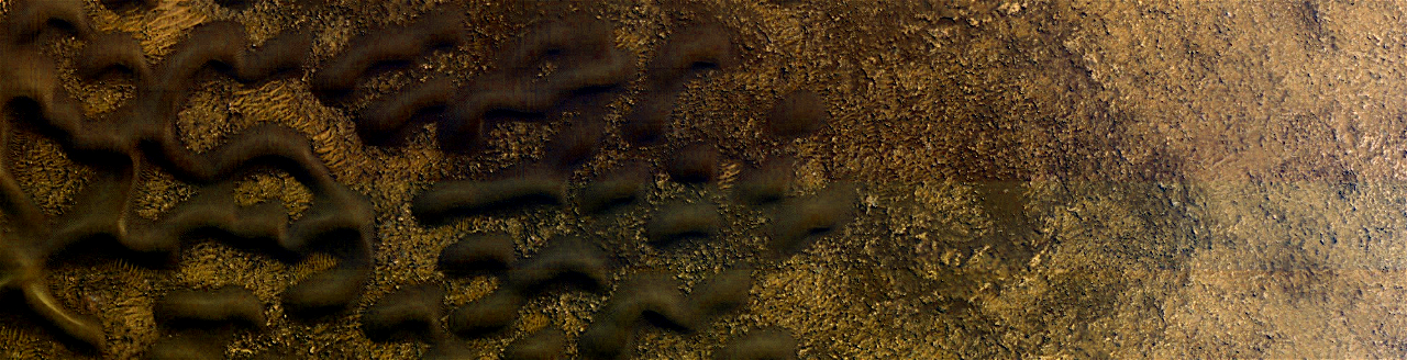 MARS