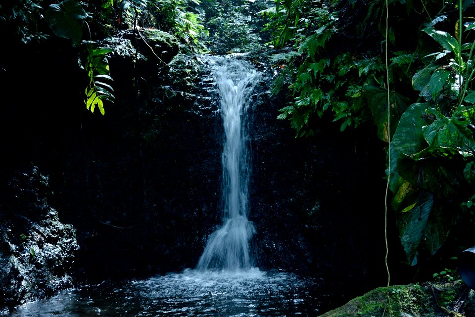 Cascada en quebrada privada. Waterfall in a private creek.