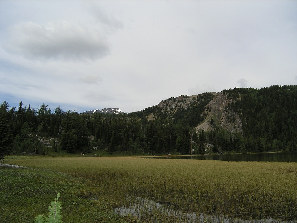 Assiniboine to Sunshine Meadows Trail
