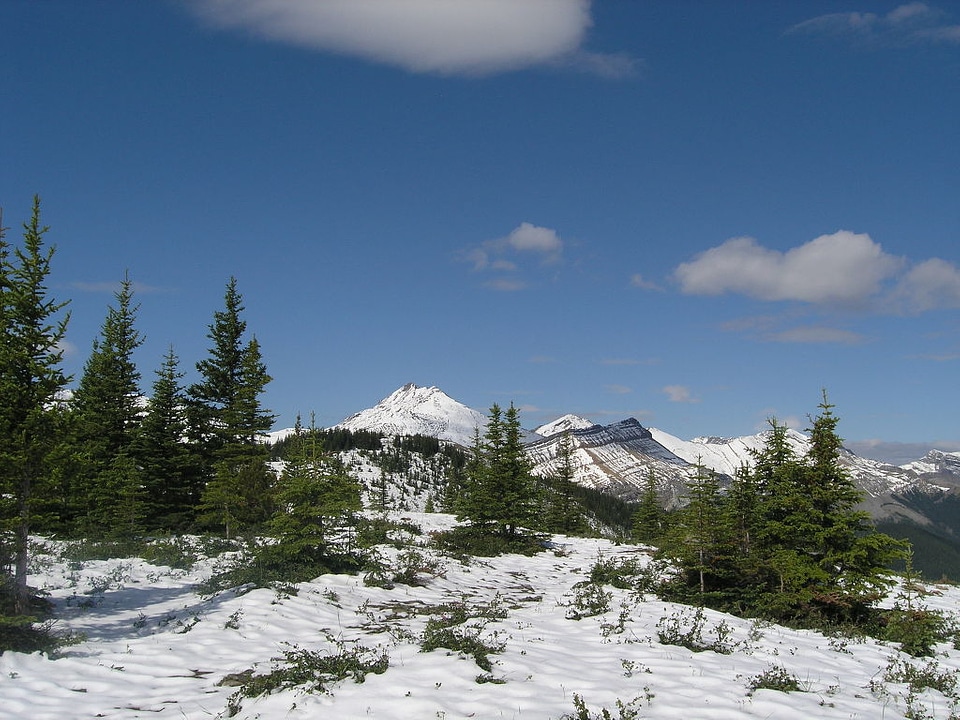 Canadian Rocky Mountain Parks