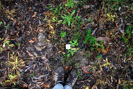 2022 Site 3 Ground photo 1