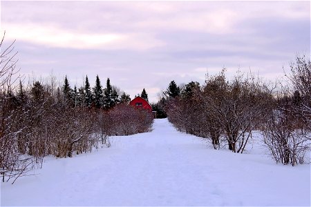 Winter Trail Leads To Country Home photo