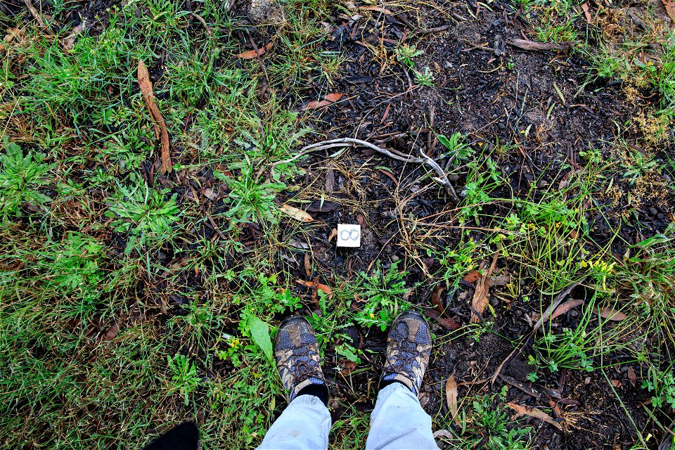 2022 Site 3 Ground photo 8