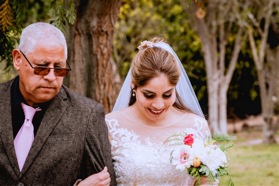 Boda Javier y Dicsia 6