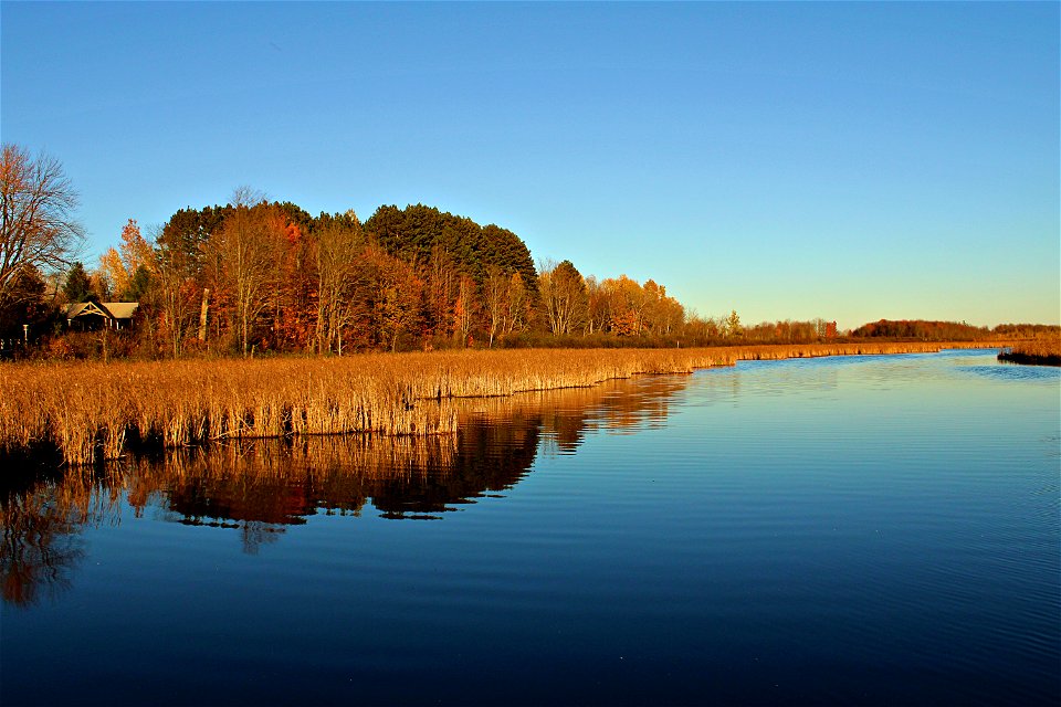 Northern Fall, The Sound of Silence. photo