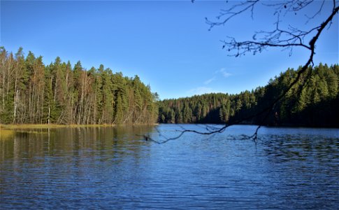 Ahja river, Saesaare resevoir photo