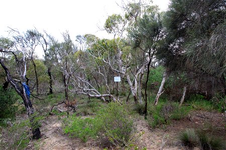 2022 Photopoint Site 2