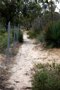 Track width 2022