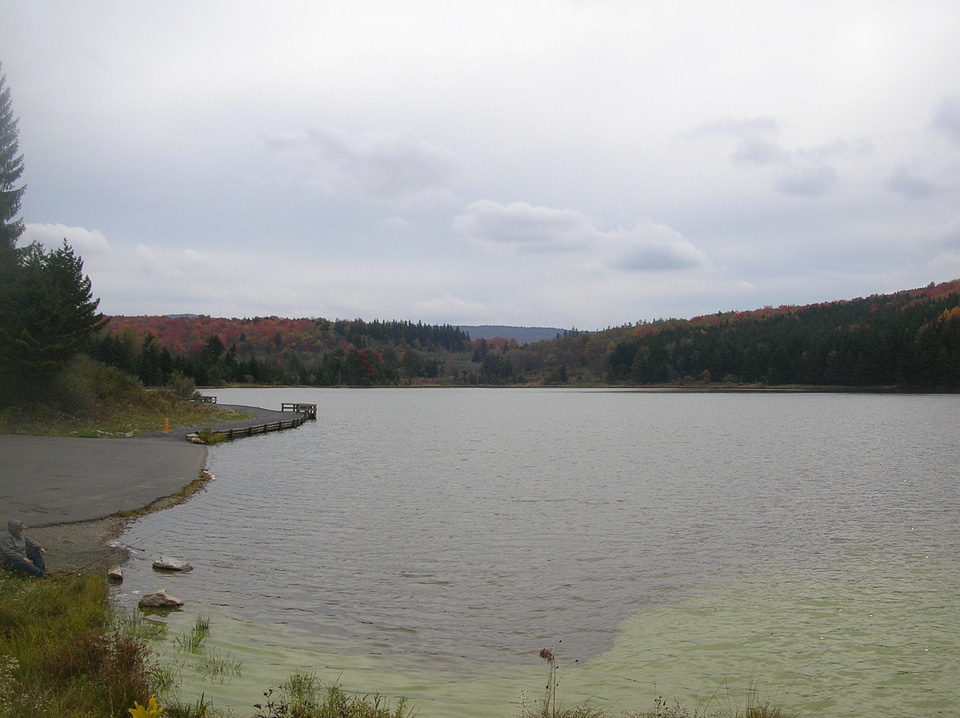 Blackwater Falls State Park