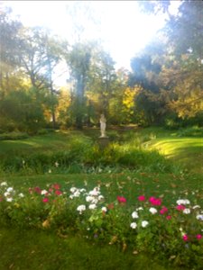 Pavlovsk 5