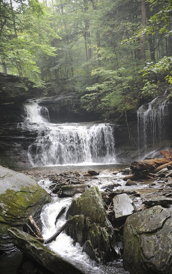 Ricketts Glen State Park