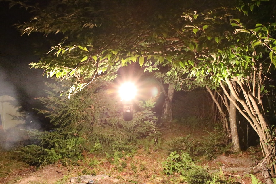 Gas lamp in night forest for camping