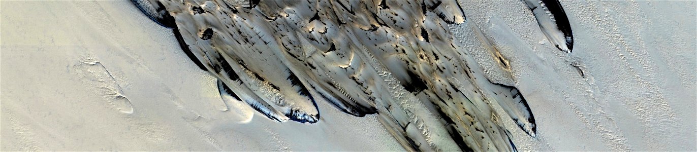 Mars - Seasonal Changes of Chasma Boreale Megadunes
