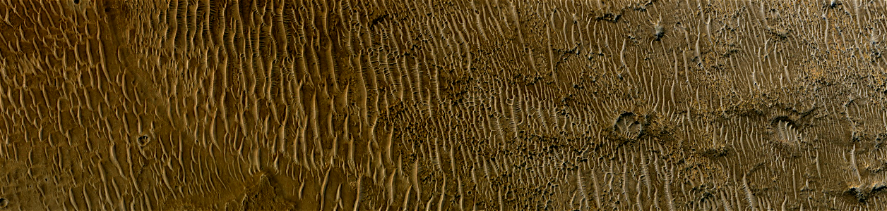 Mars - Dunes of Tinto Vallis Near Palos Crater photo