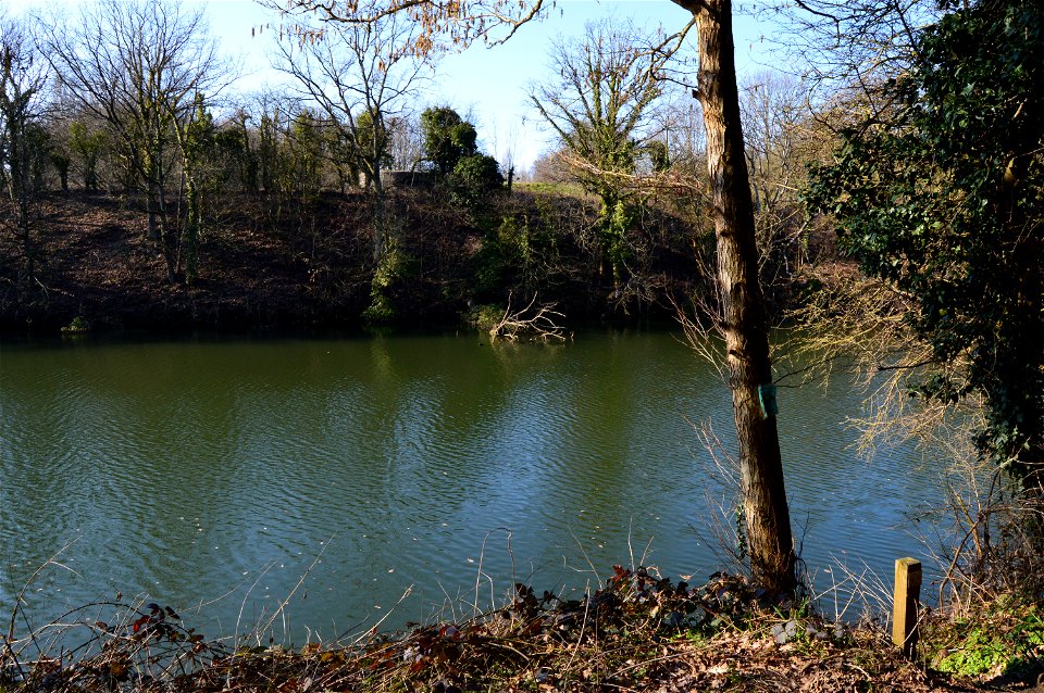 DSC_0036