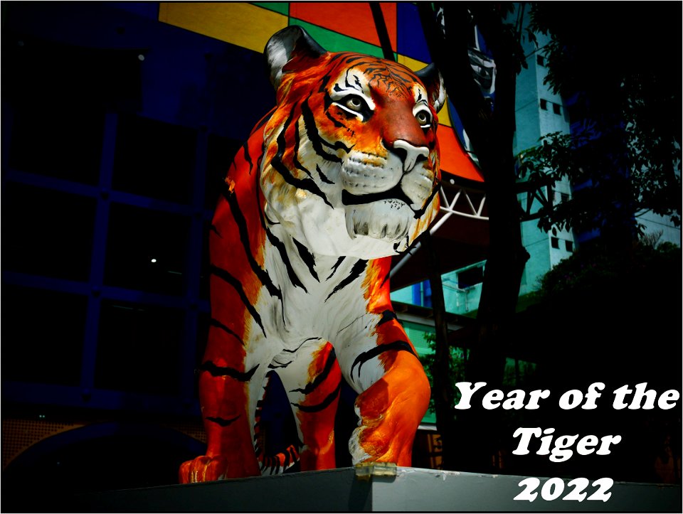 Wishing all a happy and prosperous lunar new year
