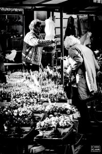 blooming Conversatie