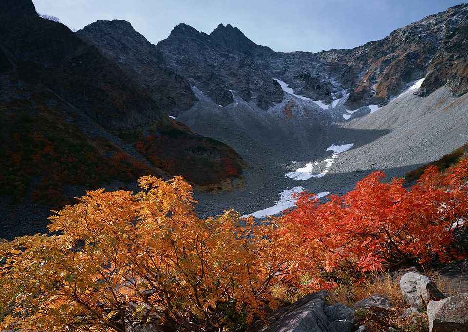 Mountain landscape with cliffs and pink flowers