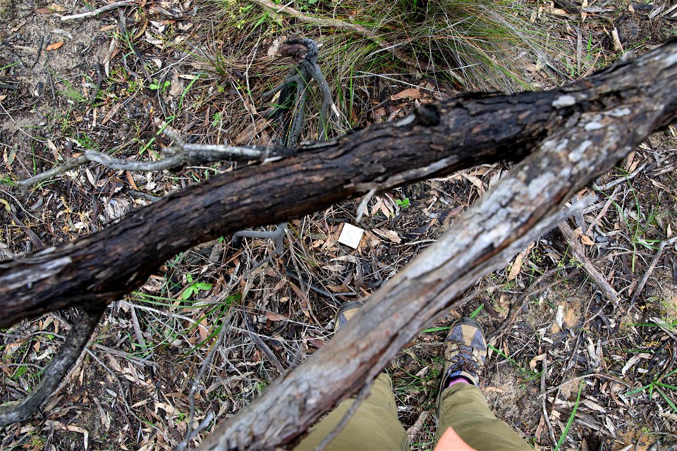 2022 Site 2 Ground photo 5