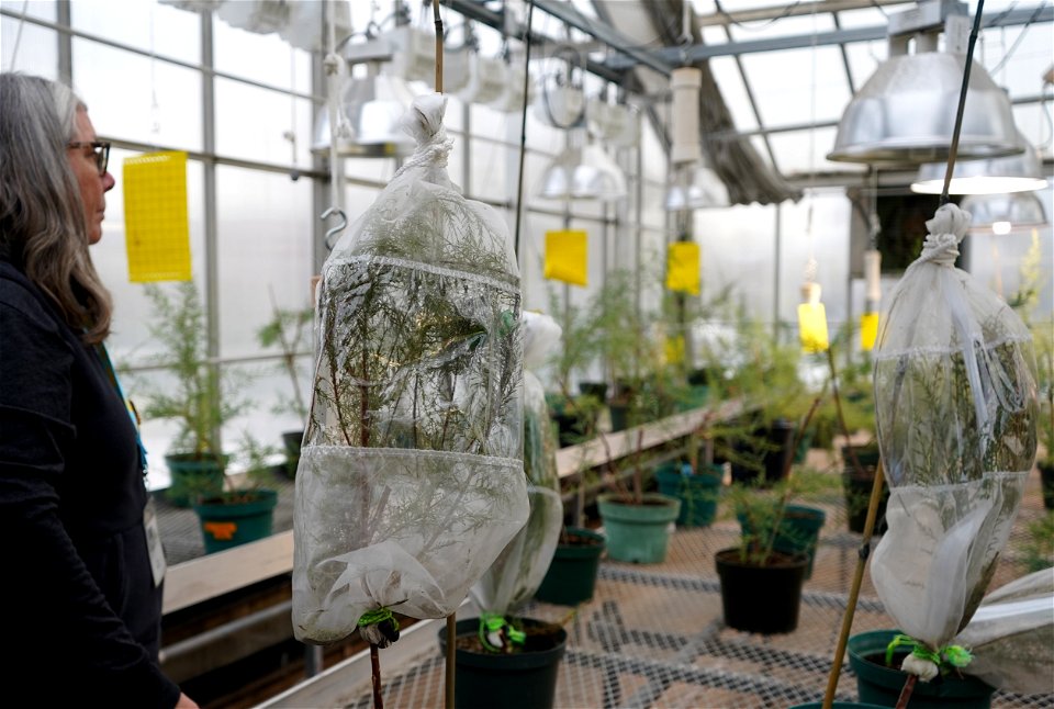 ForestryLab-BozemanMT-003