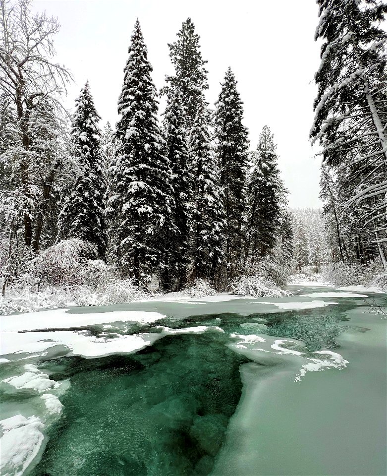 RattlesnakeCreek-LoloNationalForest-001