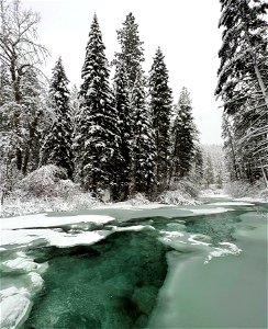 RattlesnakeCreek-LoloNationalForest-001 photo