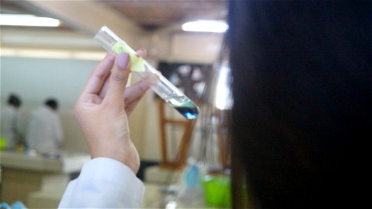 Laboratorio de Química (11).