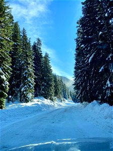 IMG_2802