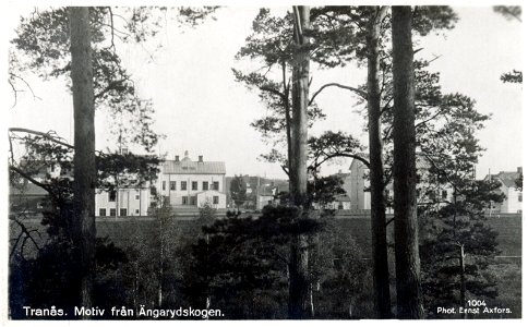 067 Motiv från Ängarydskogen