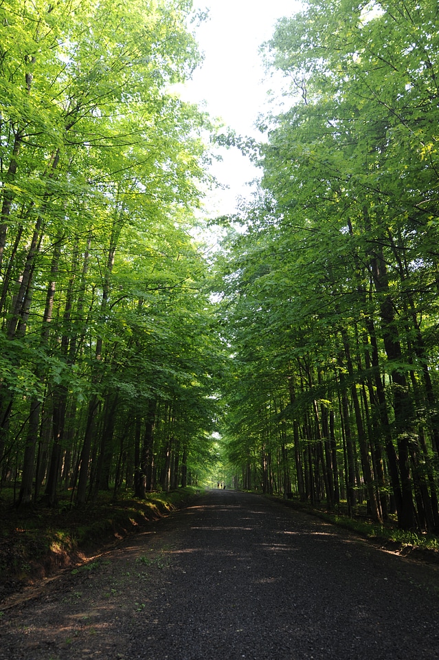 Sand Run Lake Trail West Virginia