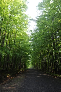 Sand Run Lake Trail West Virginia