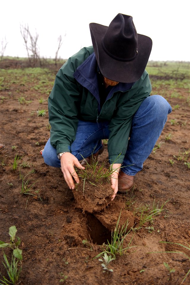 NRCS Texas Soil Scientist Nathan Haile examines soil condition after a wildfire three weeks earlier. photo