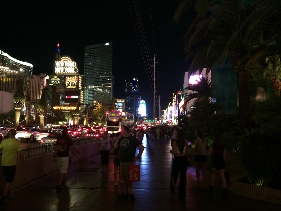 Neon fabulous vacation