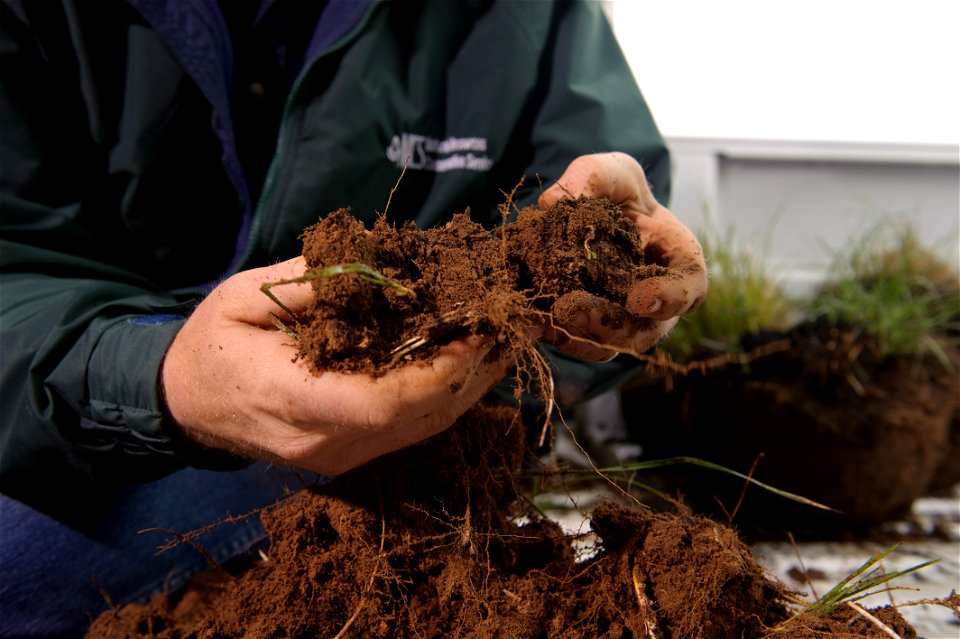 Soil Scientist Nathan Haile examines soil condition in soil samples taken in the pasture. photo