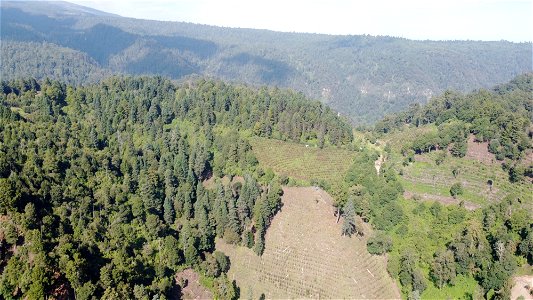 SEIARN_SEIF_DSIA_FERNANDO_VALDEZ_CALDERÓN_DJI_0469