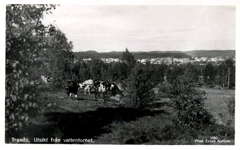 072 Utsikt från Vattentornet
