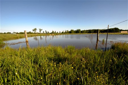 Livestock pond access provides for cleaner water quality. photo