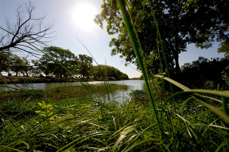 Foster Park offers many local residents a place to enjoy outdoor recreation activities.