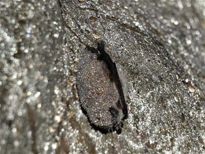 2021 Photo Contest_10