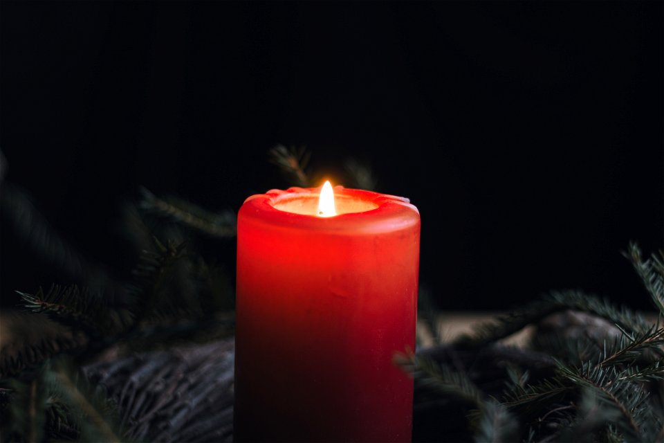 yule_4
