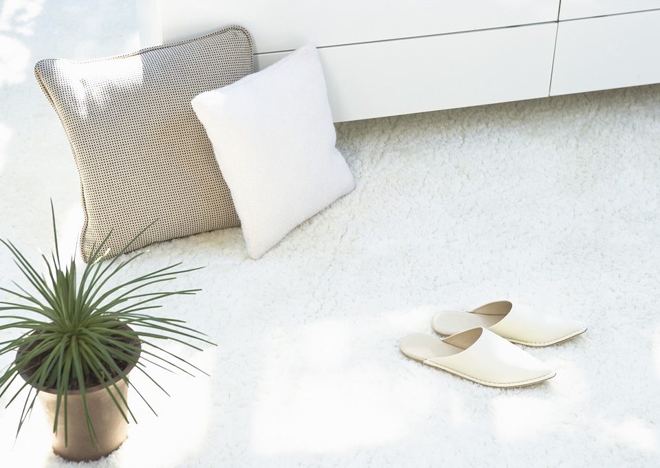 Composition with warm plaid, slipper,pillow and plant