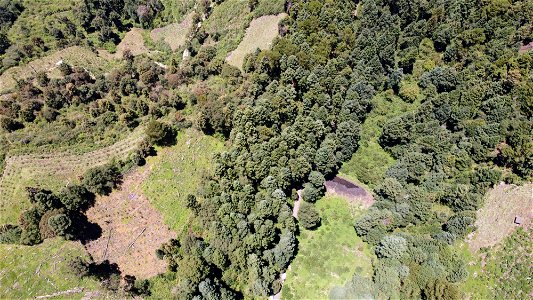 SEIARN_SEIF_DSIA_FERNANDO_VALDEZ_CALDERÓN_DJI_0061