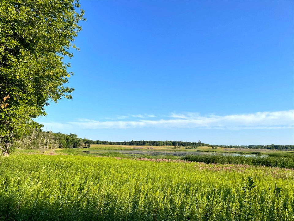Crow Wing River park Minnesota 2022 Aug