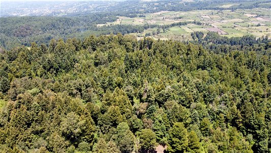 SEIARN_SEIF_DSIA_FERNANDO_VALDEZ_CALDERÓN_DJI_0102