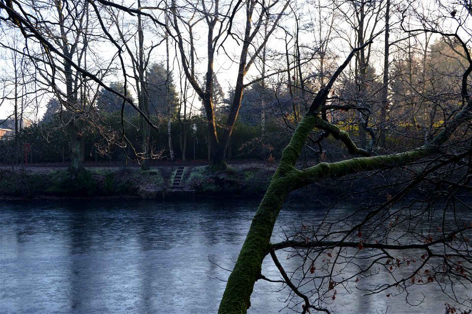 DSC_0541
